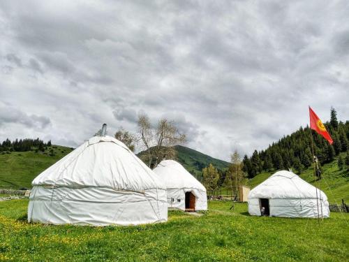 Фотография хостела Jyrgalan Yurt Lodge