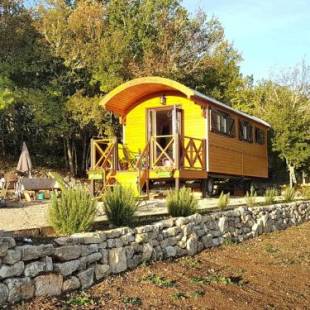 Фотографии гостевого дома 
            La Roulotte CLERELU - Du domaine des Ramonets