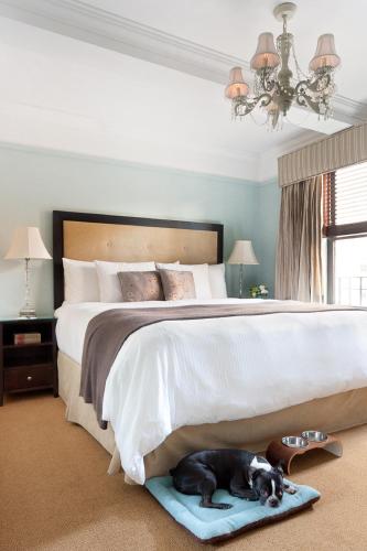 Фотография гостиницы voco The Franklin New York, an IHG Hotel