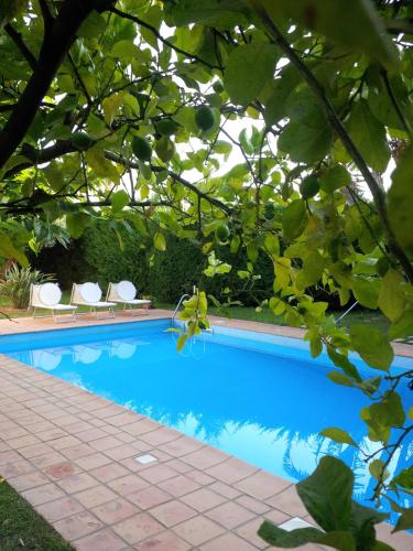 Фотография гостевого дома Jasmine