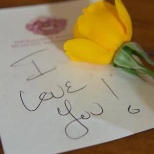 Фотографии мини отеля
Candlelight Inn Napa Valley