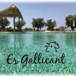 Фотография базы отдыха Agroturismo Es Gallicant
