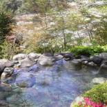 Фотография мини отеля Kinugawaonsen Hananoyado Matsuya