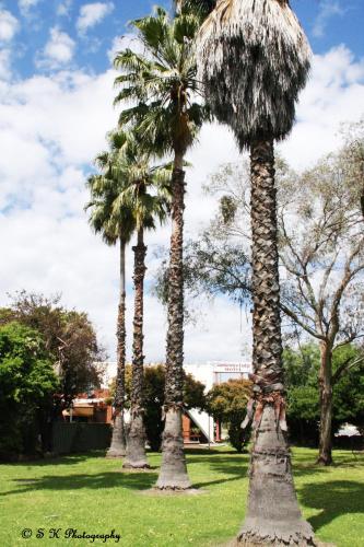 Фотография мотеля Gardenview