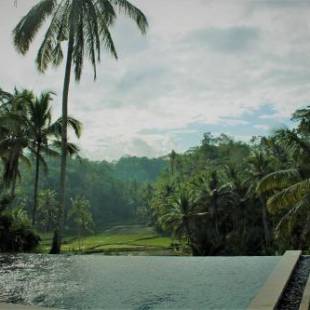 Фотографии мини отеля 
            The Papas Villas