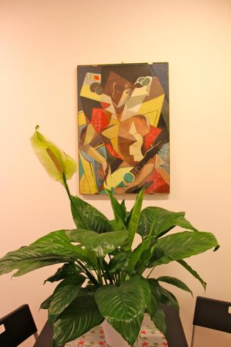 Фотография гостевого дома Lo Studio Guest House