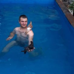 Фотография гостевого дома Arame