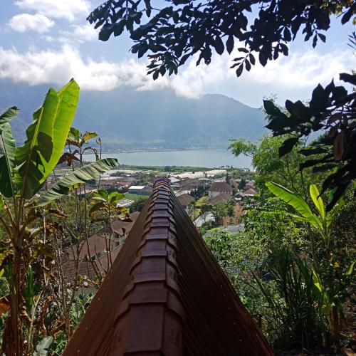 Фотография мини отеля ECO Bedugul adventurer camp