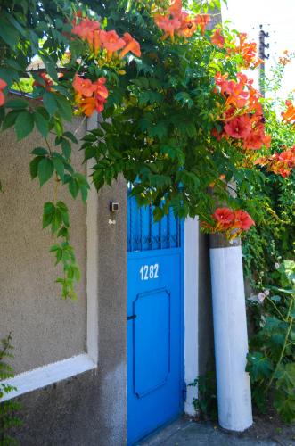 Фотографии гостиницы
Галин Дворик