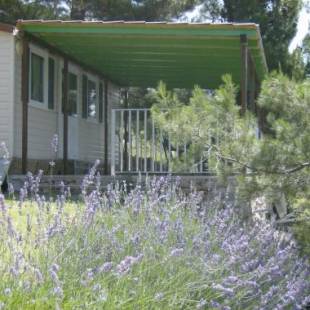 Фотографии кемпинга
Camping PINUS