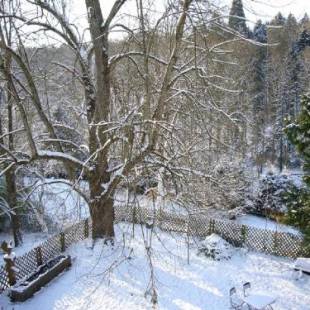 Фотографии мини отеля
Burghof Wallhausen