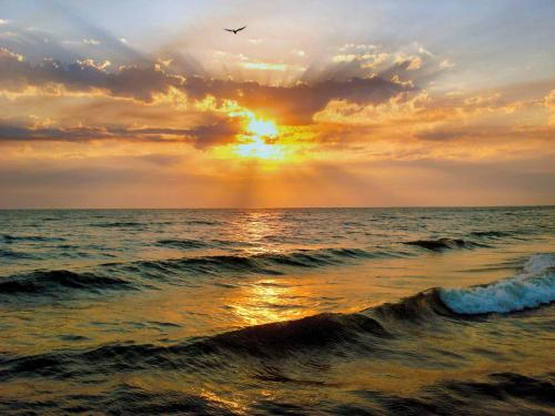 Фотографии гостевого дома
Гостевой дом У Художника