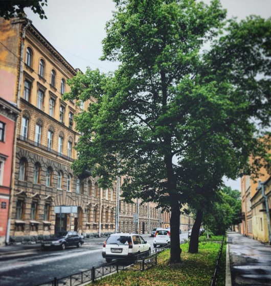 Фотография апарт отеля Окошки