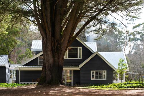 Фотография гостевого дома The Orchard