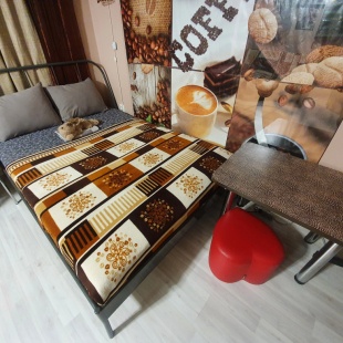 Фотография квартиры Апартаменты с Террасой 2