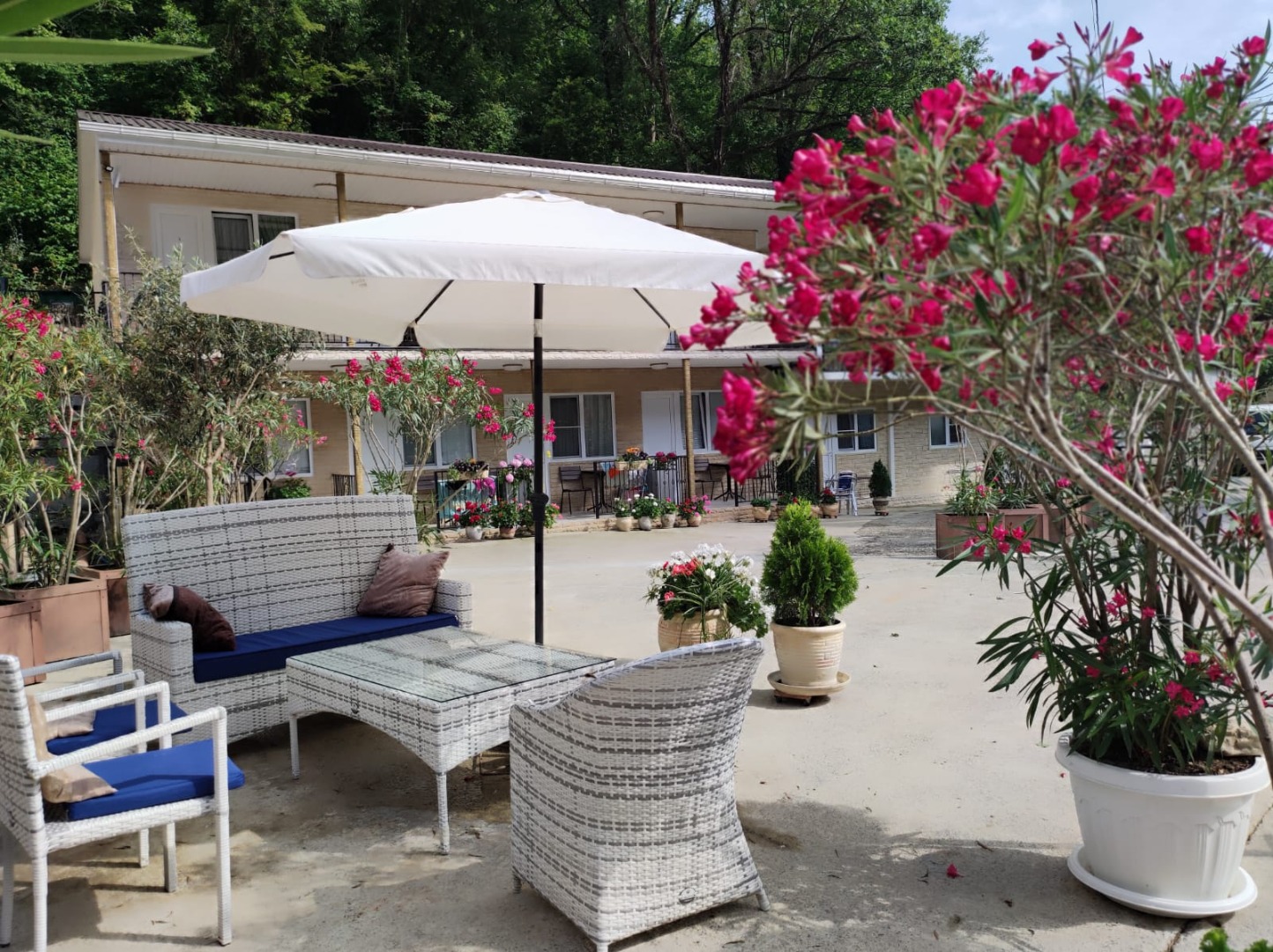 Фотография мини отеля Удача