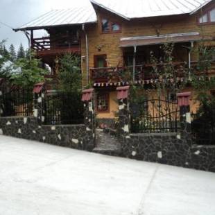 Фотографии гостевого дома 
            Pensiunea Alexandra & Diego