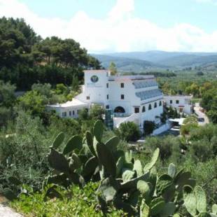 Фотографии гостиницы
Hotel Piccolo Paradiso