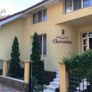 Фотография гостевого дома Pensiunea Veronica