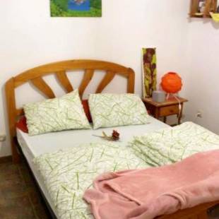 Фотографии гостевого дома 
            One bedroom house with sea view enclosed garden and wifi at Vallehermoso 2 km away from the beach