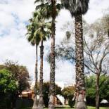 Фотография мотеля Gardenview