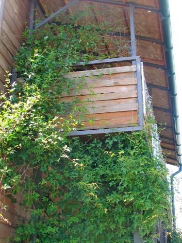 Фотография гостевого дома Грин Вуд