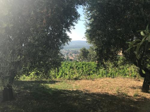 Фотография мини отеля GuestHouse Du Moulin (logement neuf)