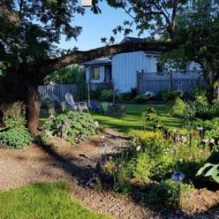 Фотографии мини отеля 
            Campbell Cottage