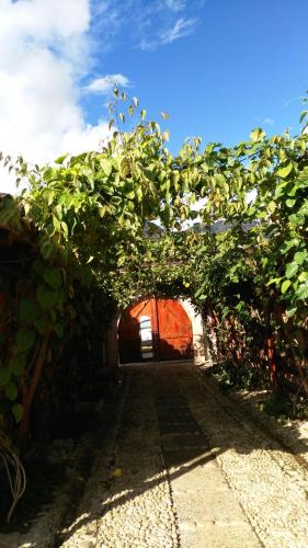 Фотография гостиницы Hotel Kantarrana Urbana Jardin