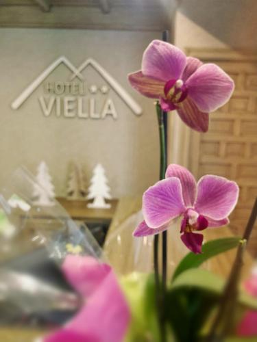 Фотография гостиницы Hotel Viella