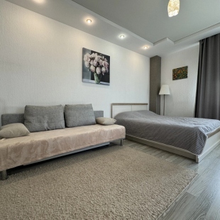 Фотография квартиры Апартаменты Метро Спортивная