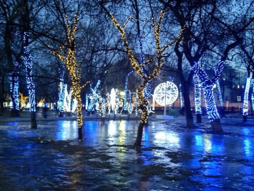 Фотография хостела Полянка на Чистых Прудах