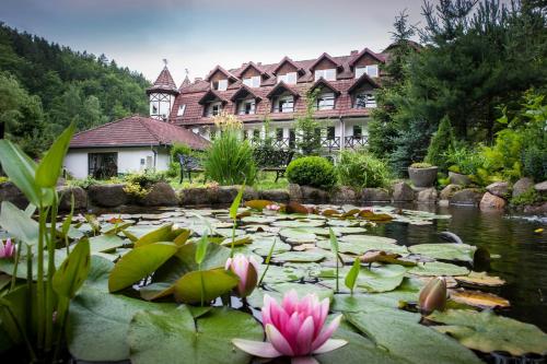 Фотография гостиницы Hotel Las Piechowice