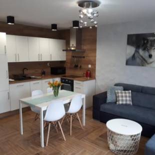 Фотографии гостевого дома
Apartamenty pod Dzikowcem