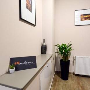 Фотографии гостиницы 
            Mandarin Premium Apartments