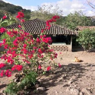 Фотография гостевого дома La Ceibita Tours