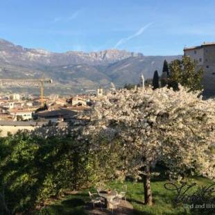 Фотографии мини отеля
Vista Castello