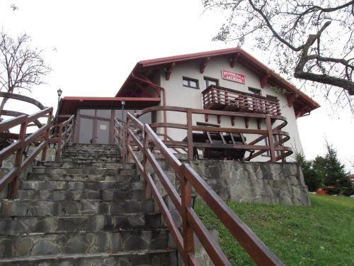 Фотография гостевого дома Pensiunea Atlantis