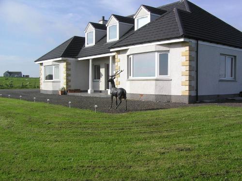 Фотография мини отеля The Antlers