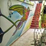 Фотография гостевого дома Ruta Alterna Backpacker