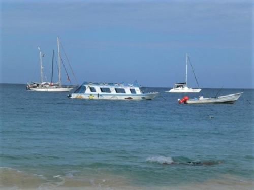 Фотография гостевого дома The Haven