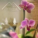 Фотография гостиницы Hotel Viella