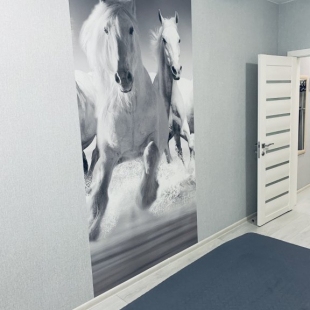 Фотография квартиры Апартаменты Downtown 3