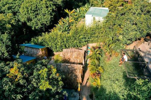 Фотография мини отеля Costeño River Minca