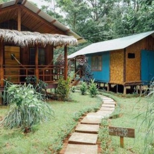 Фотография гостиницы Hidden Paradise Lodge