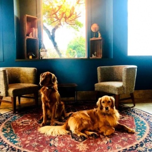 Фотография гостиницы Maverick Hotel