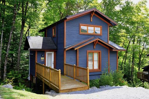 Фотография гостевого дома Chalets Alpins - 07 Chemin Alpin