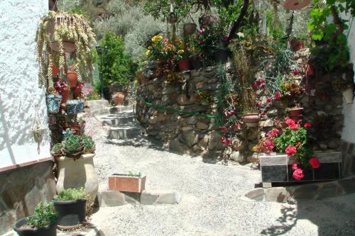 Фотография гостевого дома La Granada