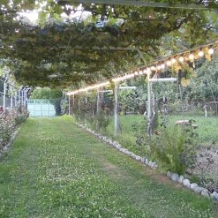 Фотография гостевого дома The house by the forest