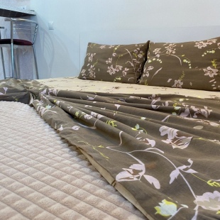 Фотография квартиры Апартаменты Студия-комфорт в ЖК Лукоморье